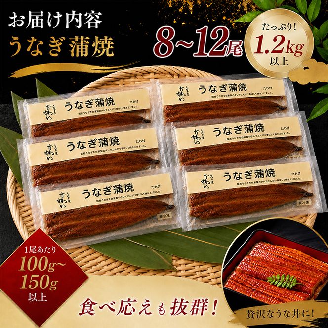 国産うなぎ  蒲焼き 8～12尾セット(合計1.2kg) タレ付き 国産 うなぎ ウナギ 鰻 蒲焼 かば焼き セット 惣菜 冷凍