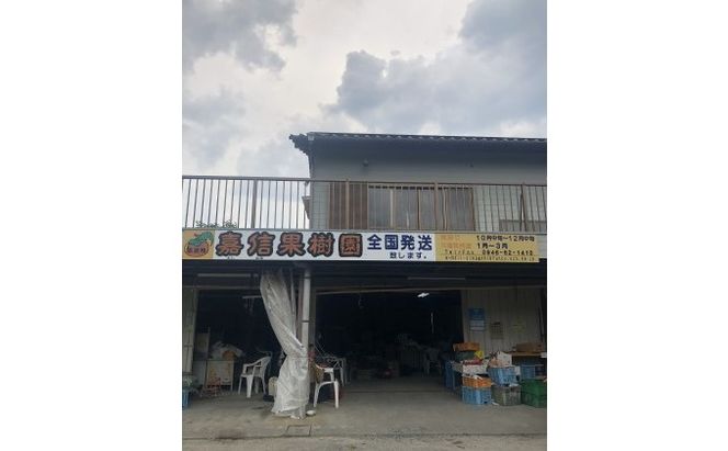 柿 太秋柿 L～2Lサイズ 10～11玉入 かき カキ 果物 くだもの フルーツ 