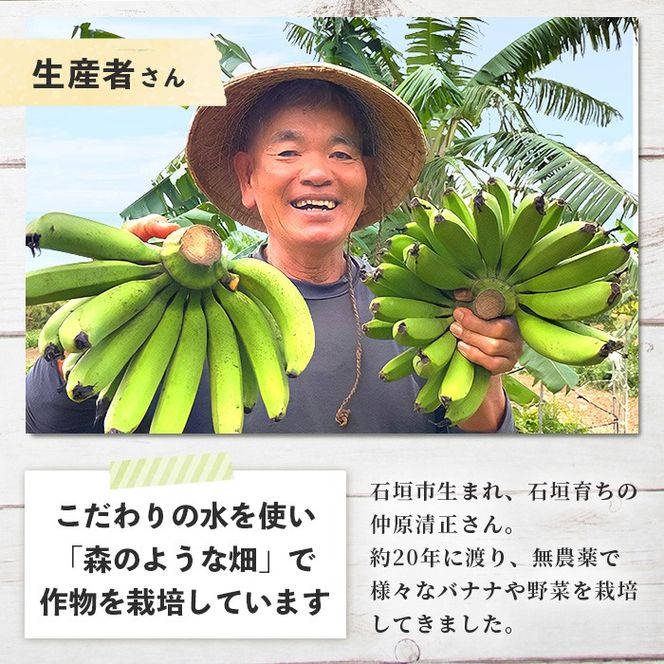 yꌧΊ_sz󏭁I̐guX悤Ȕvō͔|Ãoiiy ꌧ Ί_ Ί_Y oii ΂Ȃ _sgp w엿sgp zOI-16