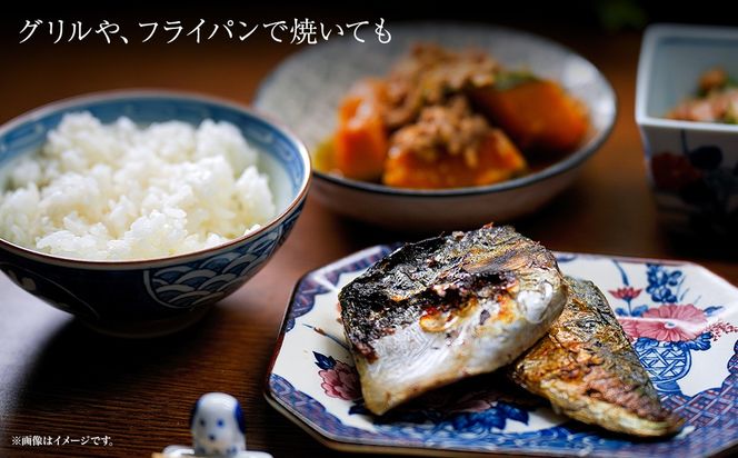 K2587 【茨城県共通返礼品/神栖市】大トロ さば 文化干し 1枚真空×6パック 魚 さば サバ 鯖  真空パック 化粧箱 冷凍 一夜干し