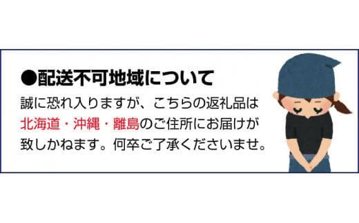 【先行予約】橋本農園の 訳あり セミノール 10kg 【2027年3月中旬から4月中旬に順次発送】 / セミノール 柑橘 フルーツ 果物 くだもの 先行予約 訳あり【mht021】