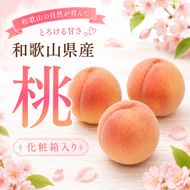 和歌山の厳選白桃 約0.75kg【白鳳・清水白桃・川中島・もも・はくとう】【化粧箱入り】【ikd720】