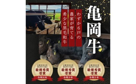  「京都いづつ屋厳選」 亀岡牛 サイコロステーキ 700g ≪和牛 牛肉 冷凍 ステーキ≫ ふるさと納税牛肉 ※着日指定不可