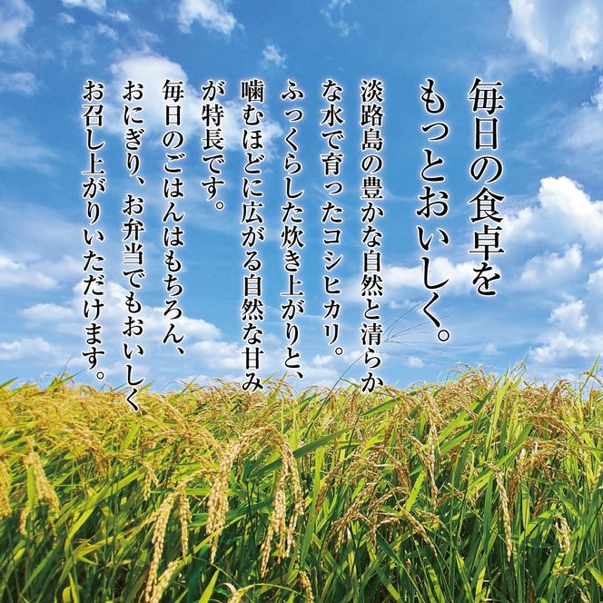 淡路島産こしひかり5kg