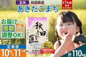 【玄米】＜令和7年産 新米予約＞ 《定期便11ヶ月》秋田県産 あきたこまち 10kg (5kg×2袋)×11回 10キロ お米【お届け周期調整 隔月お届けも可】 新米|02_snk-020611s