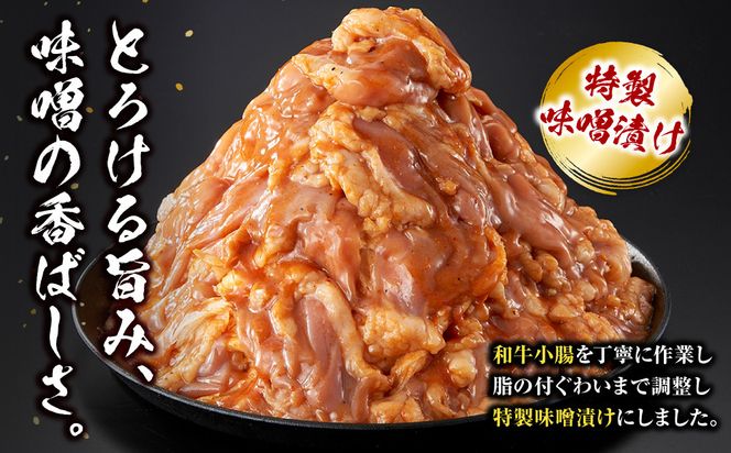 ＜訳アリ＞和牛トロホルモン　特製味噌漬け　3kg(300g×10）【12月発送】 【kw0096-0049-12】