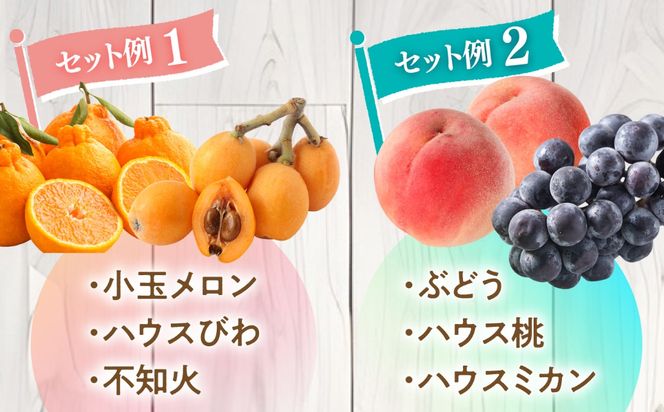 【3回定期便】季節の果物 詰め合わせ フルーツセット 旬の果物をお任せで2〜3品目お届け  / 果物 セット / 南島原市 / 吉岡青果[SCZ038]