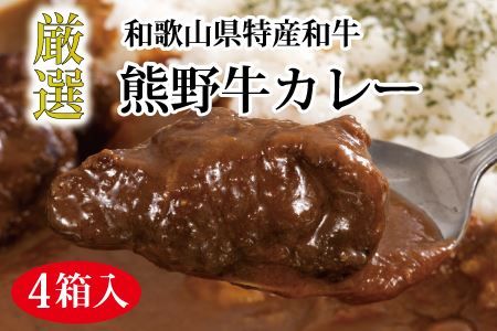 特選黒毛和牛 熊野牛カレー ４箱【mtf102】