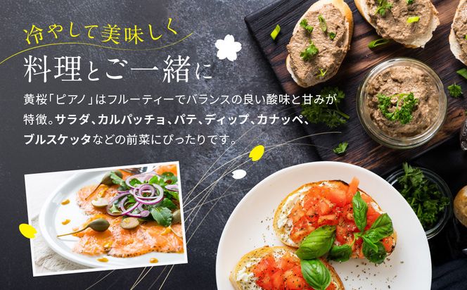 【黄桜】ピアノ (300ml×12本)［ キザクラ カッパ 京都 お酒 スパークリング日本酒  炭酸 純米酒 清酒 地酒 ご当地 日常使い 宅飲み 家飲み 晩酌 人気 おすすめ 定番 ギフト プレゼント 贈答 ご自宅用 お取り寄せ おいしい 送料無料 ふるさと納税 ］ 261009_B-DN83