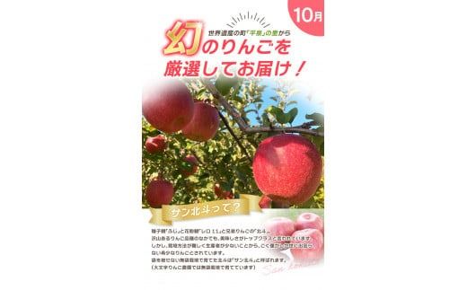 【令和7年度予約受付】大文字りんご園 季節のりんごづくし定期便！/ 樹上完熟 りんご リンゴ 林檎 紅いわて サン北斗 大夢 サンフジ 果物 くだもの フルーツ 甘い 旬 産地直送 予約 先行予約【dma513-set-3×4A】