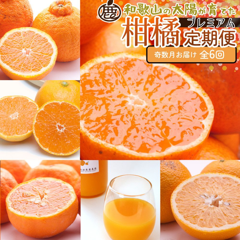 厳選 柑橘定期便S(奇数月)全6回[IKE287] 303446_BB90196