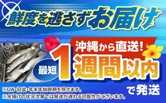冷凍キハダマグロ 1kg (500g×2パック) マグロ まぐろ 小分け 冷凍 刺身 赤身 沖縄市 / 沖縄市漁業協同組合 パヤオ直売店[BCDZ001]