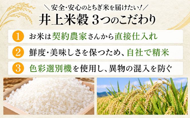 ラスト！東北地方、関東地方、関西地方限定！訳ありブレンド米20kg! 米 ゆうだい21 20kg(5kg×4) 栃木県産【栃木県共通返礼品】（栃木県鹿沼