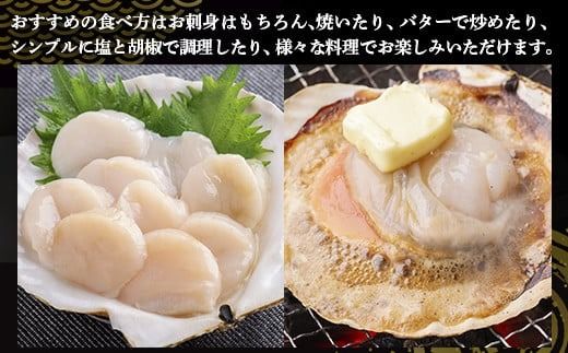 【先行予約】北海道 豊浦町 殻付き 2年貝 活ホタテ 約3kg（2026年1月から3月より順次発送） TYUP001