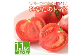 ＜先行予約受付中！2027年1～5月の間に発送予定＞ひなたのとまと(1.1kg)トマト フルーツトマト 糖度 9度 以上 野菜 旬野菜 冷蔵 国産 宮崎県産【A-4】【新門トマト農園】