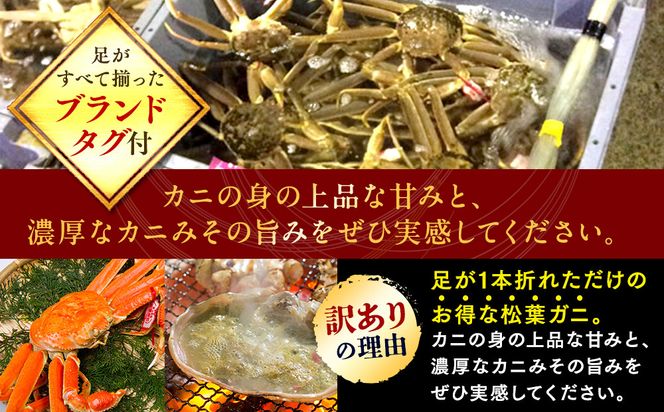 1021.【ボイル】足1本なし　訳あり松葉ガニ　並1枚（500～600g前後）【着日指定不可】※2026年11月上旬～2027年3月下旬頃に順次発送予定《かに カニ 蟹》 313726_AL031VC02