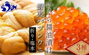 【先行/2026年1月より発送】知床羅臼町産　塩水うに（１００g×１）と折うに（１２０g×１）と北海道産いくら醤油漬け（２５０g）のセット 北海道産 知床羅臼産 016942_AM012