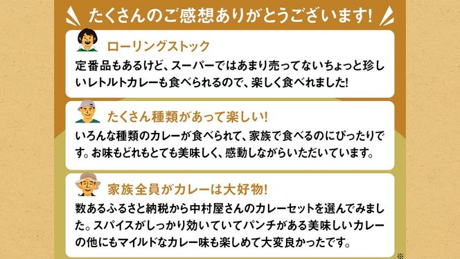 新宿 中村屋 レトルト カリー 食べ比べ セット 10種 13個入 人気 詰合せ 洋食 時短 カレー インドカレー ビーフ キーマ チキン バター チキン ハヤシ ベジタブル 野菜 長期保存 災害用 保存食 [DM009us] レンチン レンジ 