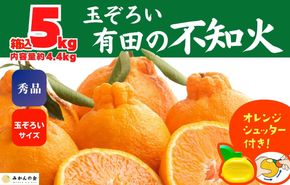 不知火 (しらぬい) 秀品 玉ぞろい 箱込 5kg (内容量約4.4kg)  和歌山県産 産地直送［みかんの会］ AX137