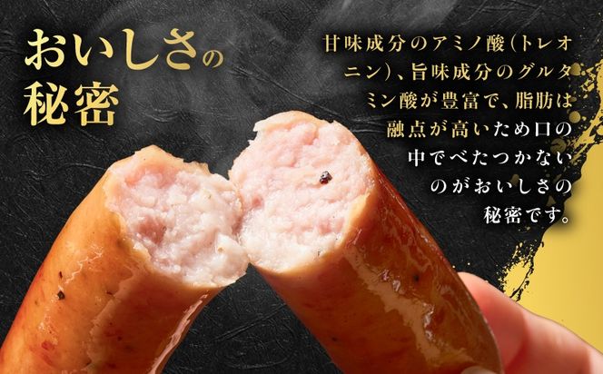 種豚場がお届けする鹿児島伝統の黒豚 黒胡椒の効いた黒豚ウインナー　K125-002