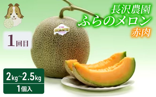 【定期便3回】富良野の夏を独り占め！富良野メロン×至福のアイス "とろける定期便" メロン 赤肉 大玉 果物 アイス アイスクリーム デザート おやつ ご褒美 冷凍 定期便 産地直送【2026年夏～発送】