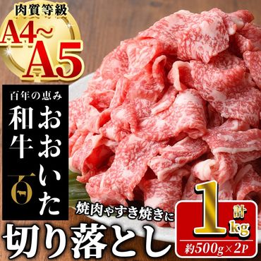 おおいた和牛 切り落とし (計1kg ・500g×2P) 国産 牛肉 肉 霜降り A4 A5 黒毛和牛 すき焼き しゃぶしゃぶ 焼肉 和牛 豊後牛 ブランド牛 冷凍[HE01][(株)吉野]