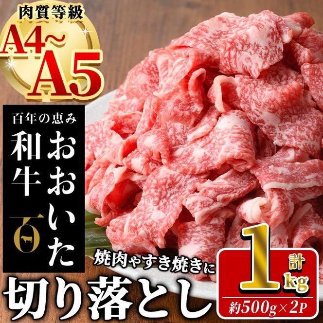 おおいた和牛 切り落とし (計1kg ・500g×2P) 国産 牛肉 肉 霜降り A4 A5 黒毛和牛 すき焼き しゃぶしゃぶ 焼肉 和牛 豊後牛 ブランド牛 冷凍【HE01】【(株)吉野】