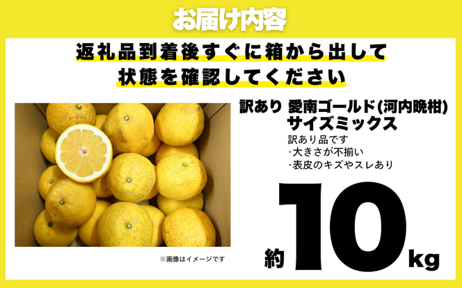 【 先行予約 】 訳あり 減農薬 愛南ゴールド 河内晩柑 10kg サイズ ミックス 家庭用 産直 農家直送 和製 グレープフルーツ 家庭用 甘い 爽やか 瑞々しい ジューシー 濃厚 旨味 酸味 旬 初夏 柑橘 みかん 蜜柑 不揃い サイズ混合 ジュース ゼリー ジャム マーマレード デザート 焼酎割り サワー 先行予約 予約受付 期間限定 数量限定 愛媛県 愛南町 愛南フルーツ