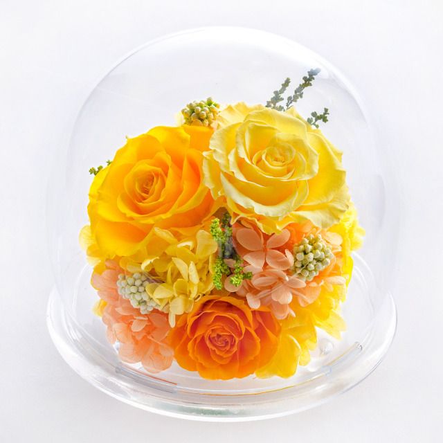 ガラスドームL 花 お花 プリザーブドフラワー ギフト プレゼント お祝い 誕生日 お供え アレンジ インテリア 東京都 墨田区