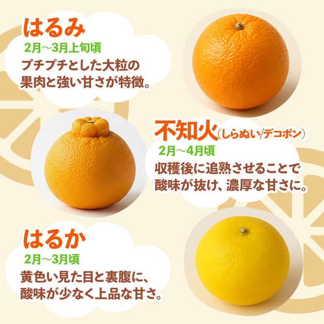 ＜1月より発送＞家庭用 柑橘詰合せ1kg+250g（傷み補償分）◇【訳あり・わけあり】【有田の春みかん詰め合わせ・フルーツ詰め合せ・オレンジつめあわせ】【光センサー選別】 ※北海道・沖縄・離島への配送不可 ※2026年1月上旬～4月下旬頃に順次発送予定