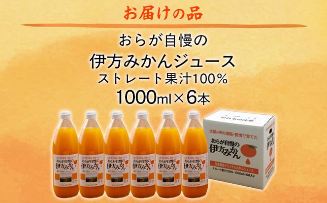 【愛媛県産】おらが自慢の伊方みかんジュース（1000ml×6本）ストレート果汁100％（2025年12月より順次発送） IKTI008