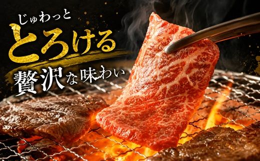 松阪牛　焼肉用　切り落とし　1kg【00890_3】