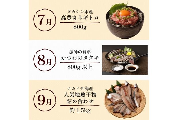 【定期便 12回】室戸まるごと定期便 人気の品12か月お届けコース 定期便 海鮮 定期便 肉 定期便 果物 かつお まぐろ ネギトロ ハンバーグ 国産 魚介 鮮魚 不知火 デコポン と同品種 干物 お菓子 芋けんぴ 高知県 室戸市