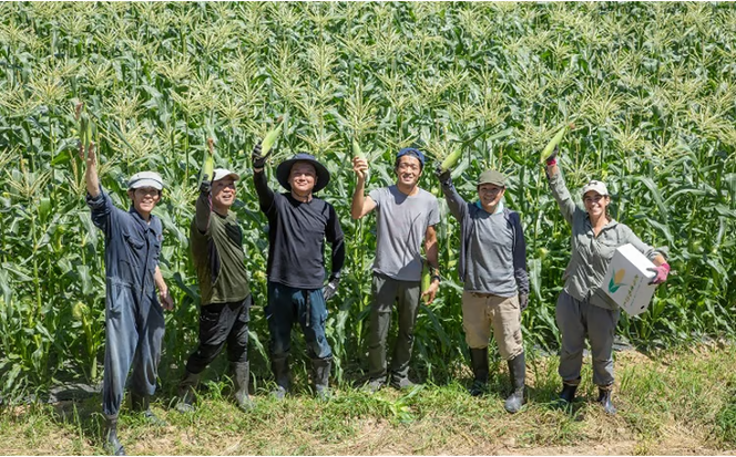［2026年先行予約］牛窓産とうもろこし まるでフルーツ！生で甘い、茹でて美味い！「桃太郎コーン」と「うしまどんな」のセット 約4kg 8～12本入り 産地直送 食べ比べ[№5735-1795]