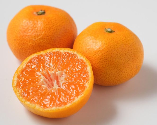 【先行予約】【秀品】紀州和歌山産 温州みかん 約10kg（箱込み） M～2L サイズ混合（極早生・早生・中生）