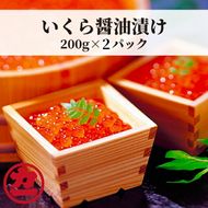 17-285 鱒いくら醤油漬け200g×2パック 合計400g

