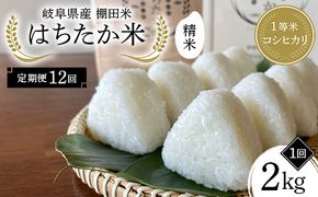 【全12回定期便】令和8年産 岐阜県産 棚田米 1等米コシヒカリ はちたか米 精米２kg（12回） F4N-3105