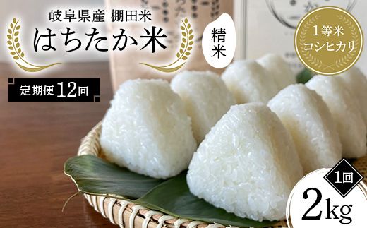 【全12回定期便】令和8年産 岐阜県産 棚田米 1等米コシヒカリ はちたか米 精米２kg（12回） F4N-3105