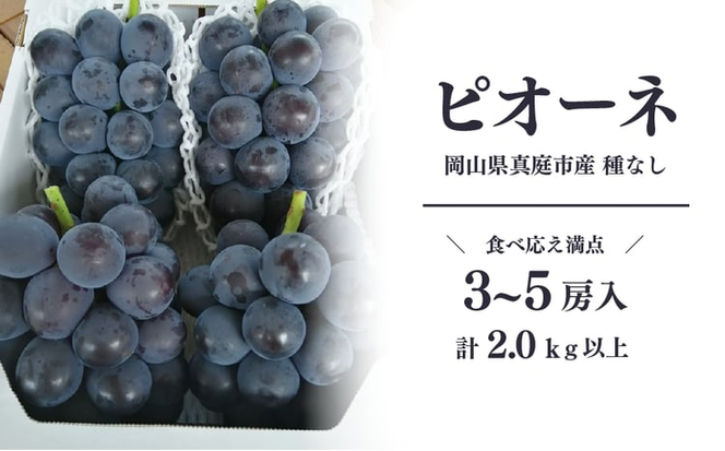 【2026年先行予約】特選 種なしピオーネ 3-5房/計2.0kg~ (岡山県産)【KF-B007-02】