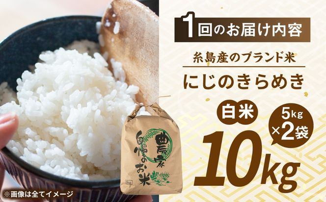【先行受付】【全3回定期便】 にじのきらめき 白米 10kg 【2026年9月中旬以降順次発送】 糸島市産 糸島市 / 糸島の恵み コメ こめ ご飯[AGR018]