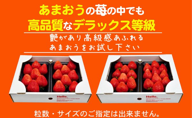 あまおう DX等級のみ 約1.04kg 約260g×4パック ※配送不可：北海道・東北・沖縄・離島 果物 苺 フルーツ デザート 旬 大粒 中玉 大玉 旬のあまおう 