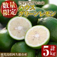 ＜先行予約受付中！2026年8月中旬以降順次発送予定＞数量限定！ハウスマイヤーグリーンレモン(5kg) 国産 檸檬 果実 果物 フルーツ 柑橘 デザート お菓子作り 期間限定 数量限定【桐野柑橘株式会社】akn070-18
