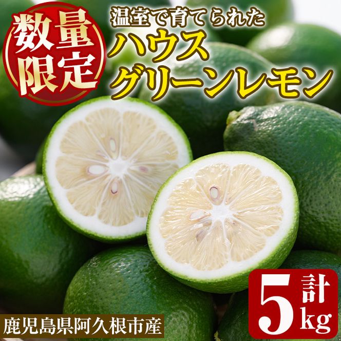 ＜先行予約受付中！2026年8月中旬以降順次発送予定＞数量限定！ハウスマイヤーグリーンレモン(5kg) 国産 檸檬 果実 果物 フルーツ 柑橘 デザート お菓子作り 期間限定 数量限定【桐野柑橘株式会社】akn070-18