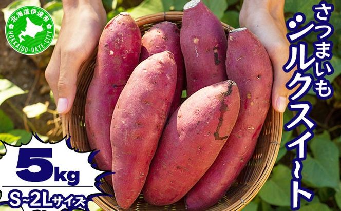 ykCɒBszkC ɒB ܂ VNXC[g 5kg n x Tc}C  Â XC[go Yn