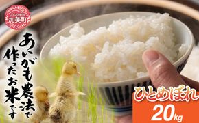 令和8年産 特別栽培米 あいがも農法でつくったひとめぼれ 20kg（5kg×4袋） | [カメイ 宮城県 加美町] お米 こめ コメ 精米 白米 特別栽培米 あいがも農法 | km-ag-hb20-r8
