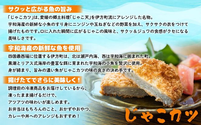 【愛媛県伊方町名産】じゃこカツ（3枚入り×5パック） IKTI001