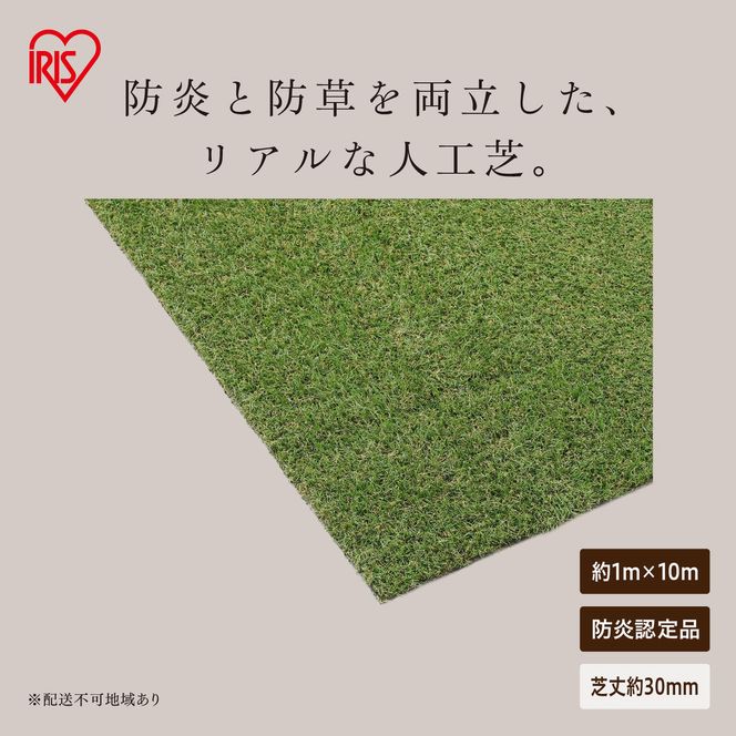防炎防草人工芝 1ｍ×10ｍ BPB-30110