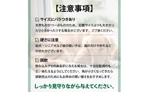 犬が喜ぶおやつ♪ 鹿角 1本 選べるサイズ（S・M・L）【犬 犬のおやつ ペット おもちゃ シカ ツノ 鹿の角 しか つの 鹿 角】