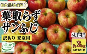 2月発送【 糖度保証 】家庭用 葉取らず サンふじ 約 3kg【 訳あり 】鶴翔りんごGAP部会 青森県産 津軽産 リンゴ 林檎 果物 フルーツ デザート 甘味