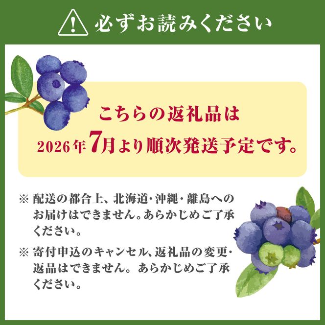 有機肥料で丹精込めて栽培した「ブルーベリー」1kg 栽培期間中農薬不使用 国産【JAほたるの里】_HA0273